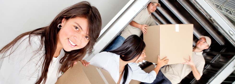 Professional Removalists Ainslie NSW